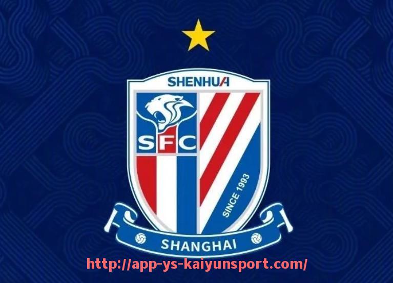 开云体育官网app下载-德甲球队最新球员总身价排行榜（2025年夏）