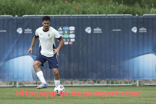 开云体育官网app下载-英超球队名称缩写：各大球队的标识及其背后含义